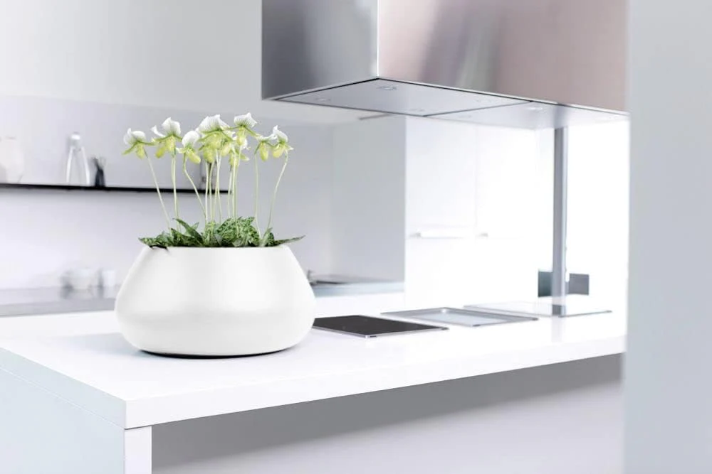 VASO PURE CONE BOWL 60 - immagine 5